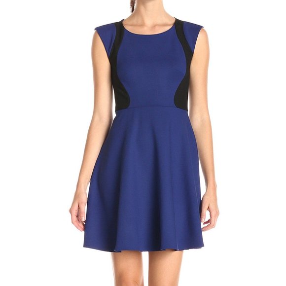 French Connection Dresses & Skirts - French Connection Cap Sleeve Fit & Flare Dress